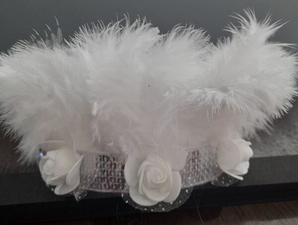 Plata-Pluma Blanca