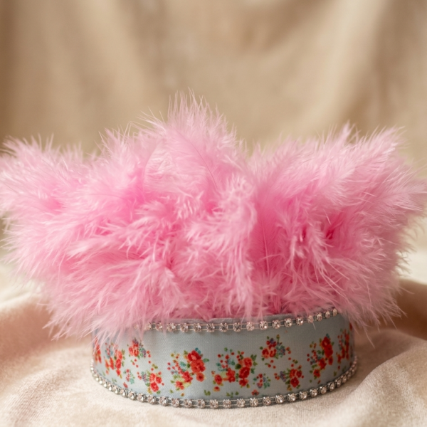 COD 256  CORONA VINTAGE