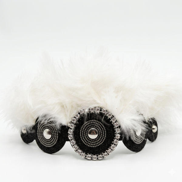 Negro-Pluma Blanca